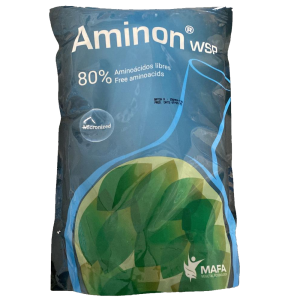 aminon wsp