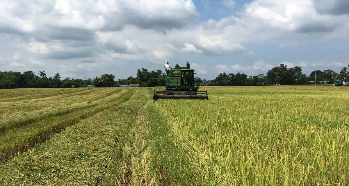 probiagro4